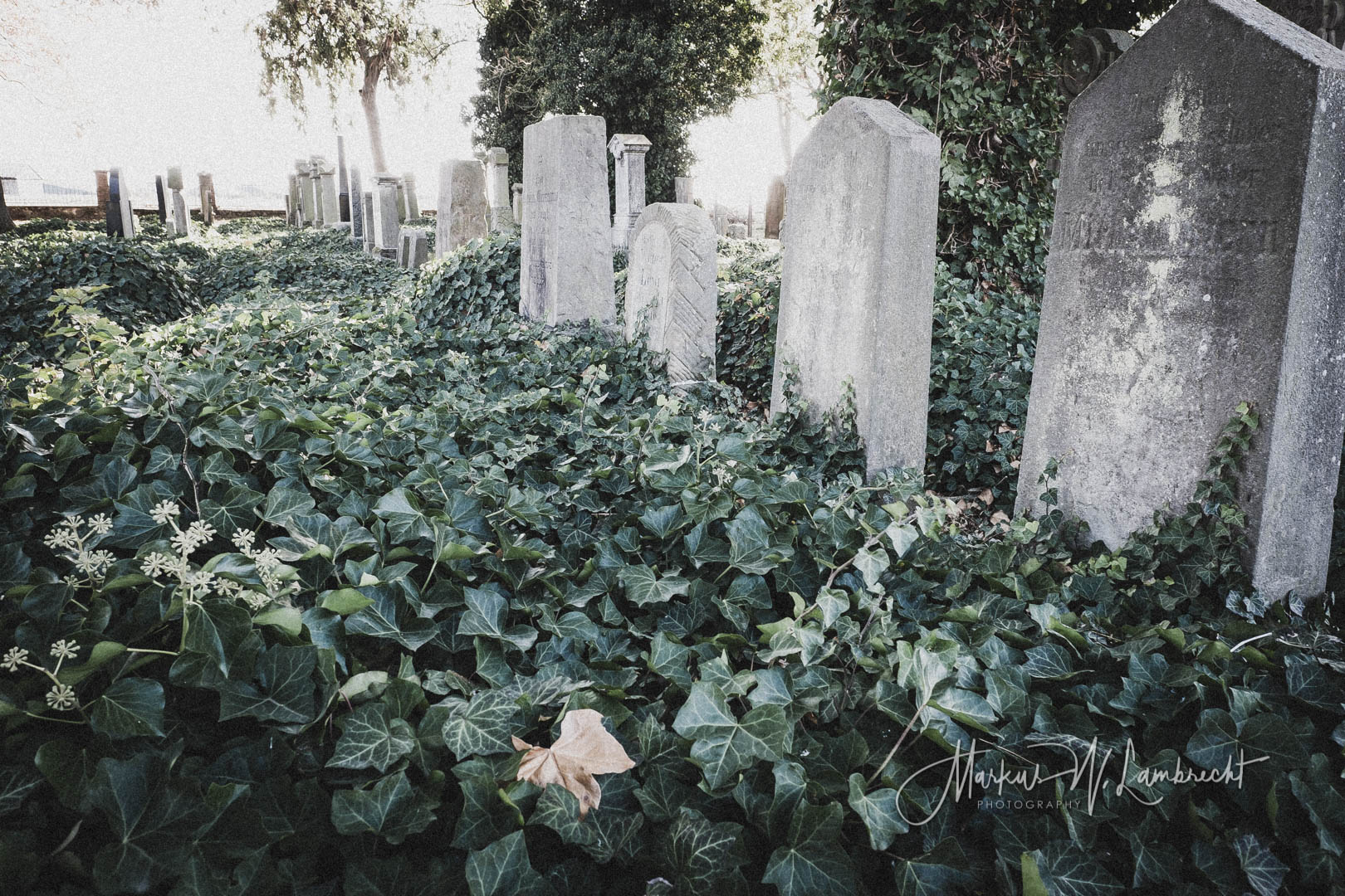 Peckelsheim, Jüdischer Friedhof